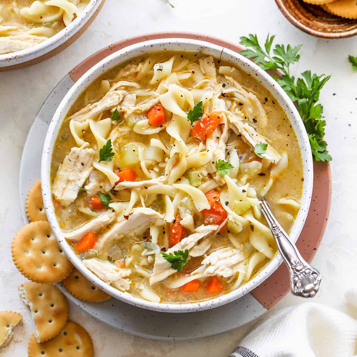 CHICKEN NOODLE SOUP