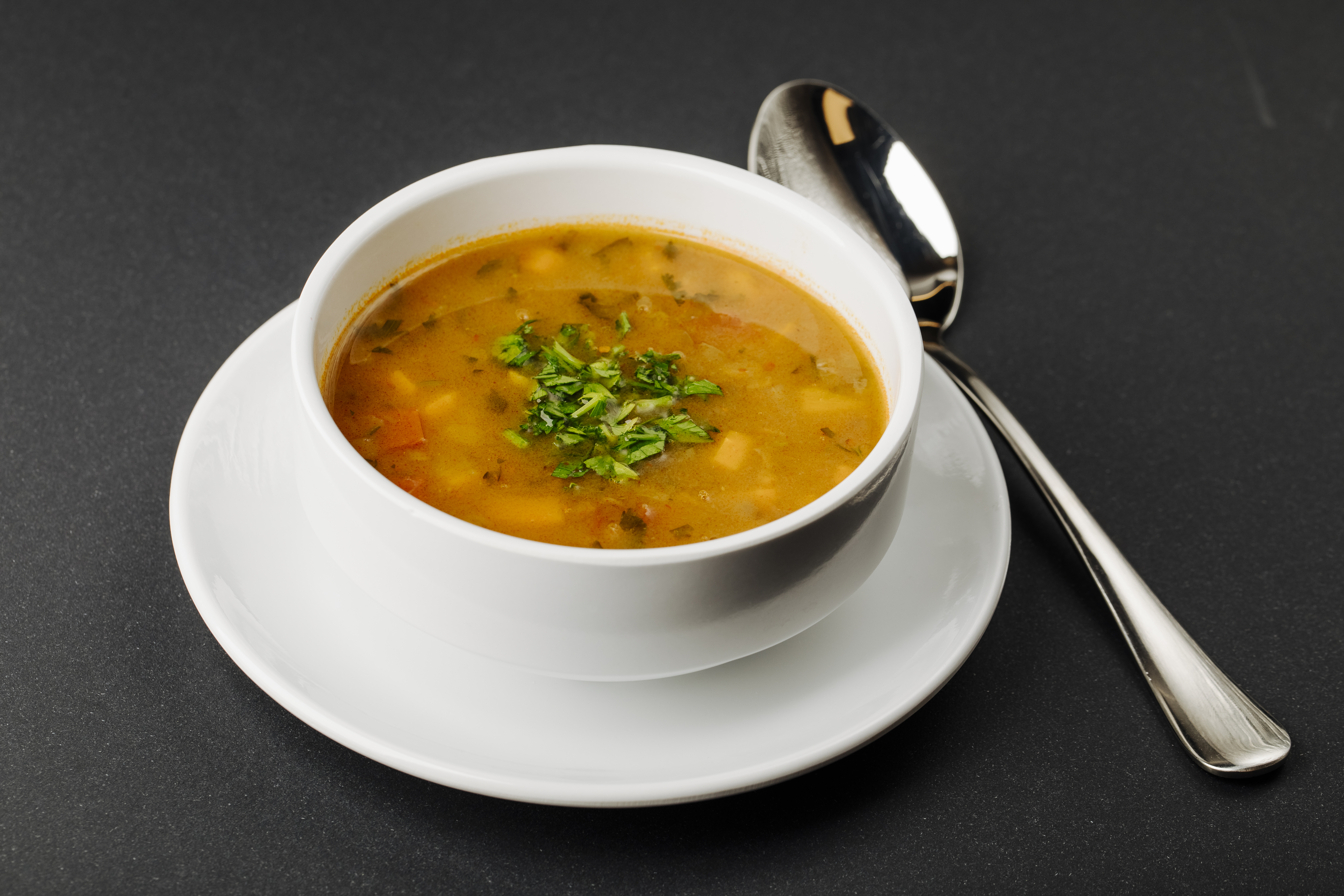 VEGETABLE SOUP